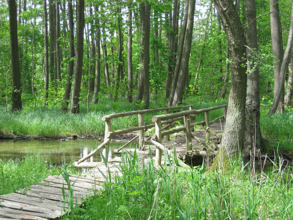 Weg in Wald - Selbsthilfegruppe Weg in Wald - Selbsthilfegruppe
